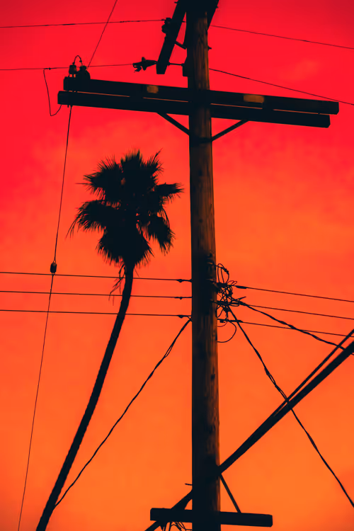 Item #35557780727049604459658880725917592814256363748111026780455796778294824665089 Media