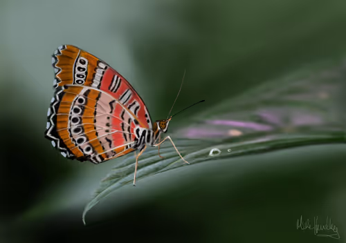 Item #39421720859211354598059957797071189726995094898407091321274451941872698916865 Media