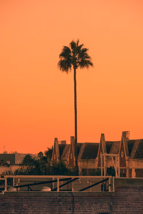 Item #35557780727049604459658880725917592814256363748111026780455796846464545587201 Media