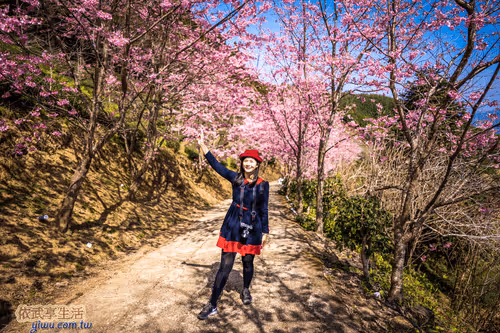 Item #100744422725674417057824683306763013505668843176654858816283483949424699244545 Media