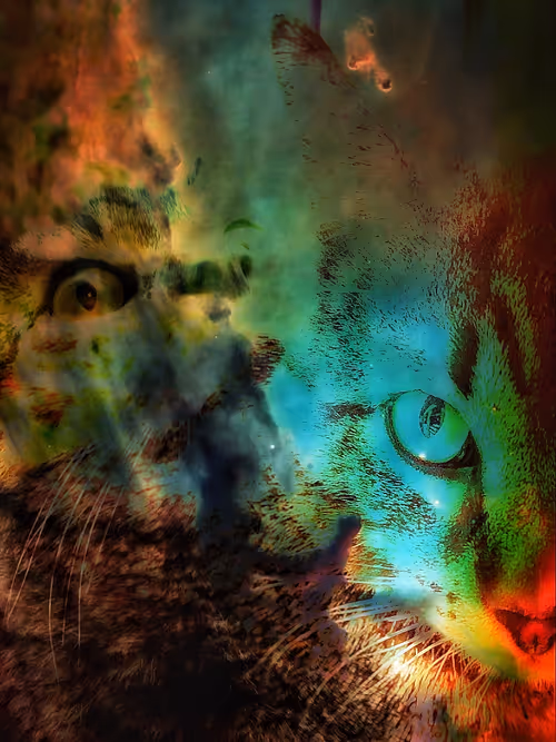 Item #54622431520615473389070195049435974225747667670160266129146791734724737892353 Media