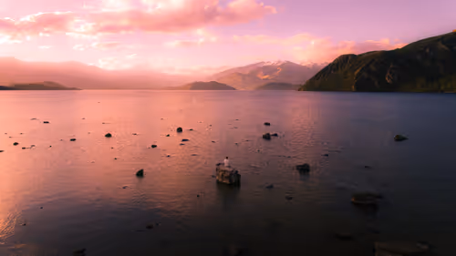 Item #74560649326607298578853393268143794665781666052470848563380919822061725024257 Media