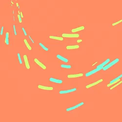 84870851341527719552096487081968599238786639982601896791736019922893938884609