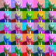 Untitled Collection #1645457558