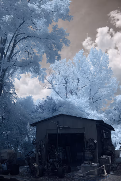 Item #84630877256389803822544637333020280854396826404545033634090050525656598446081 Media