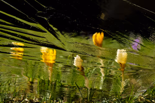 Item #60517015273015201167448896959818064210390269083404328919055338520576394264577 Media