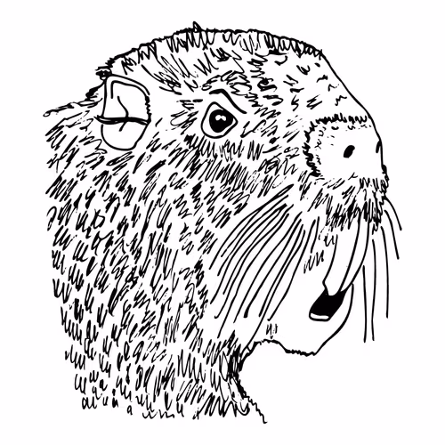 Item #48032268952776987790645515262774775207963477162584698121123844801786120503297 Media