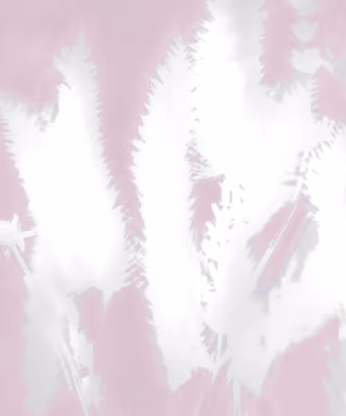 Item #66412083877775050052255921183624814536266007620308041883263231613641544433665 Media