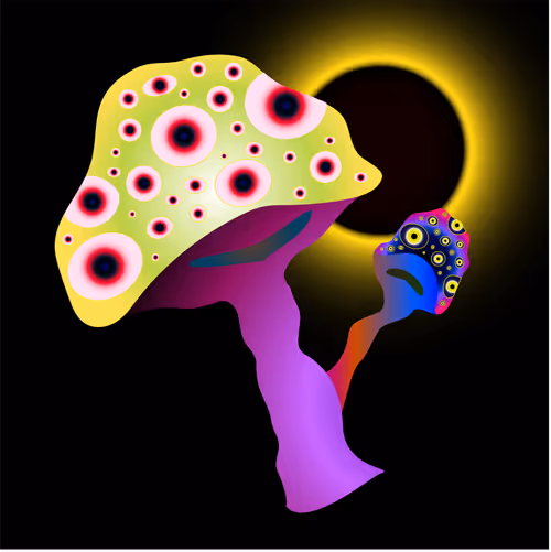 Item #69353682132584287921640915502496302946504347868100656215909837747469206683649 Media