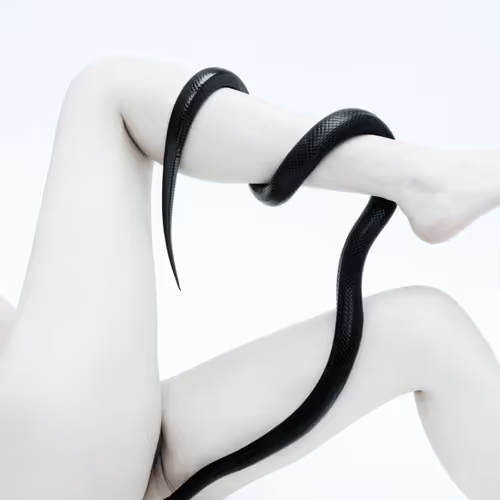 4856346483299859622740228156707386111089389456230392766181717442124127928323