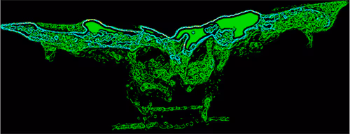 Item #88178403044767415627587356713480527064190058528292718512072958308502653108225 Media