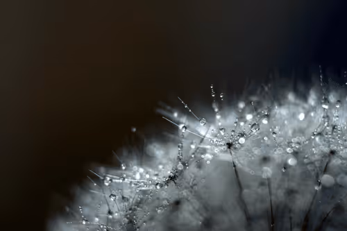 Item #13606181839721576894155883308236999132816604807813273145513526369258456481793 Media