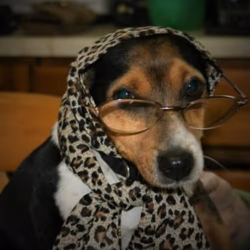 Item #92437901619161513267916995480183227921852286829495852773654869276587901059073 Media