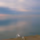 56001494640685289430780016562963484230812626650403899750945012694724026302465