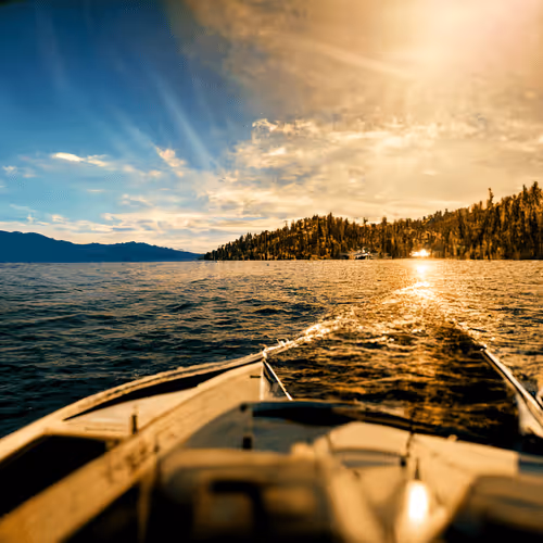 Item #82527419430776432677609198489525539692500095051269265648102109322188844695557 Media