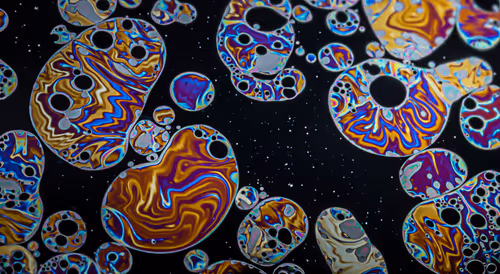 Item #11893448461842202167923125391346137616384292588036434545660885382523936309249 Media