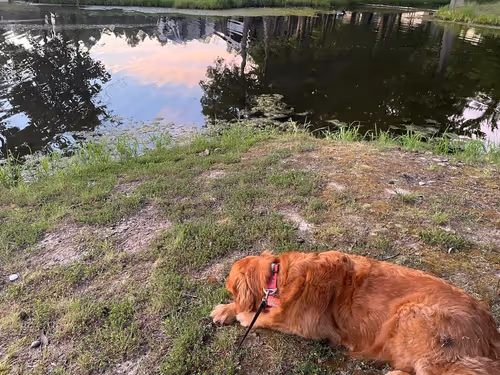 Item #83616631688377251454101391416224907678505810338785588967817681948091808219137 Media