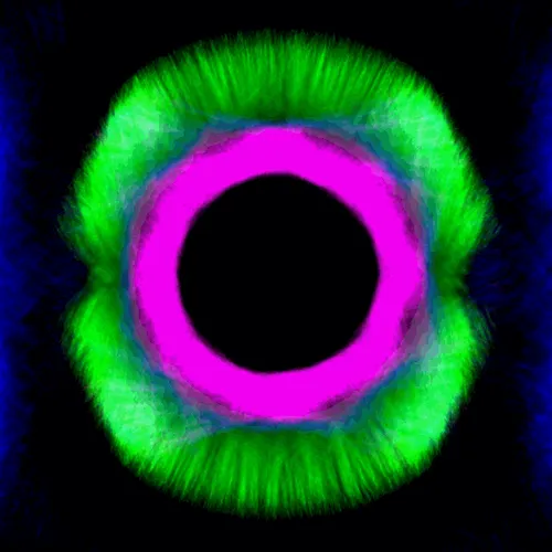 Item #51929734946411346289540790635765095060363125039145709683616697115575775657985 Media