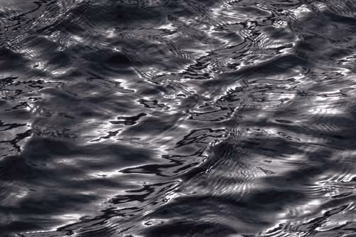 Item #81441334517361708208394031135700195474624799851237506988747108088743016267777 Media