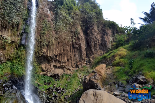 Item #103842889380389490974237418585488476385248358379383266595214697774390691495937 Media