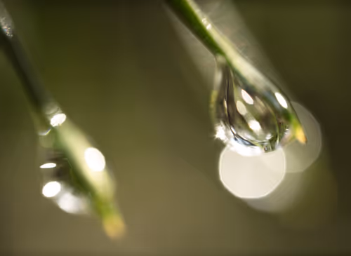 Item #59259199848972023857732761646304634361280699770576024418514166901470539022337 Media