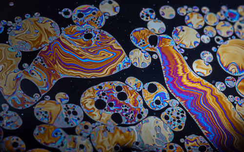 Item #11893448461842202167923125391346137616384292588036434545660885383623447937025 Media