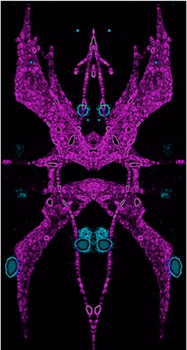 Item #88178403044767415627587356713480527064190058528292718512072958381070420541441 Media