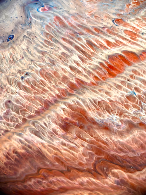 Item #199348557745545512943347160139758734699136135801198035903809503731902316545 Media