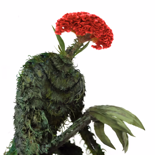 Item #69263692734302161044241320265110333107332673808638480991274558718491404271617 Media