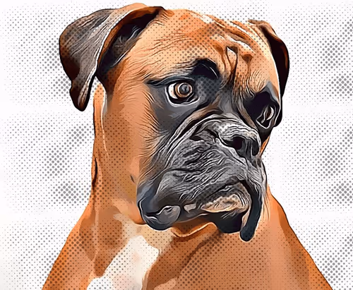 Item #87832029613577301948440201724316869266320892884719152945259080240085101182977 Media