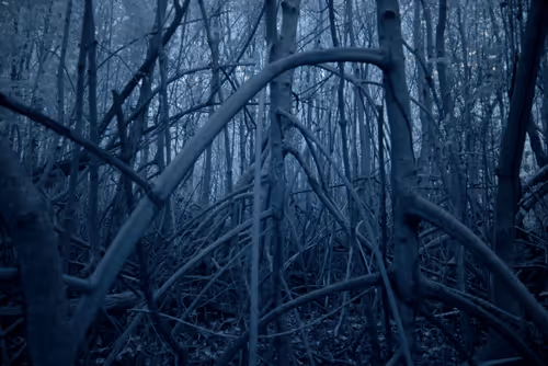 Item #84630877256389803822544637333020280854396826404545033634090050534452691468289 Media