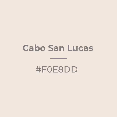 Item #53346691040146875528687065883458802064457897398448780718551627308725283323905 Media