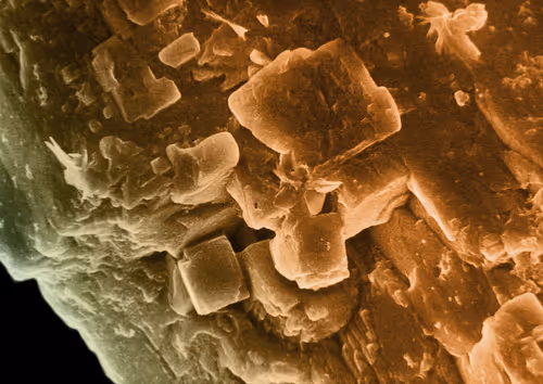 Item #115505927728344181025262329658899620468765138243295584093365708469368543772673 Media