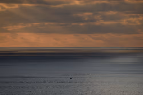 Item #56478856313177005722278897063070921997898574043466539873768020130617368772609 Media