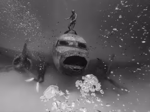 Item #19055507172542008720847652875739134943626923912998575187859622409638063898625 Media