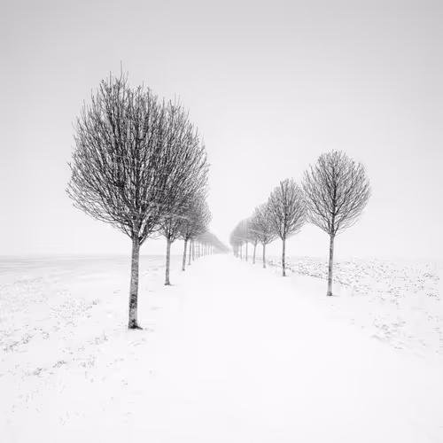 Item #101547054933813335062644925459541226737619958059144835271274916352029248978945 Media