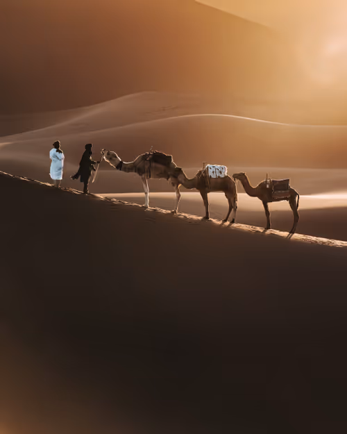 Item #86385672013831146465548650078662187187055141490040132723525304188559974989825 Media