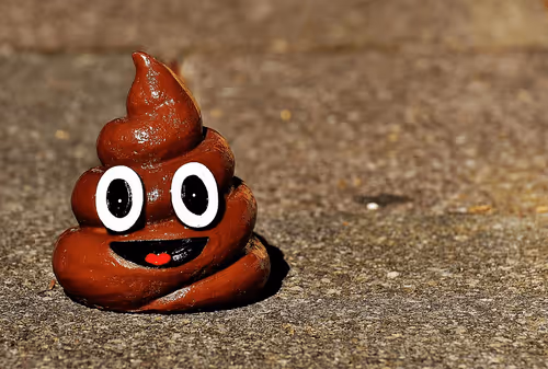 Item #87168689642386041159639833587462629267916266200200208185872491633713180835841 Media