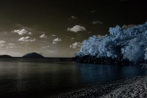 Item #84630877256389803822544637333020280854396826404545033634090050535552203096065 Media