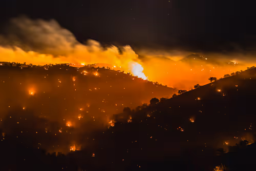 Item #95204431680649181601528738578851453896688564435428028381601595516231392165889 Media