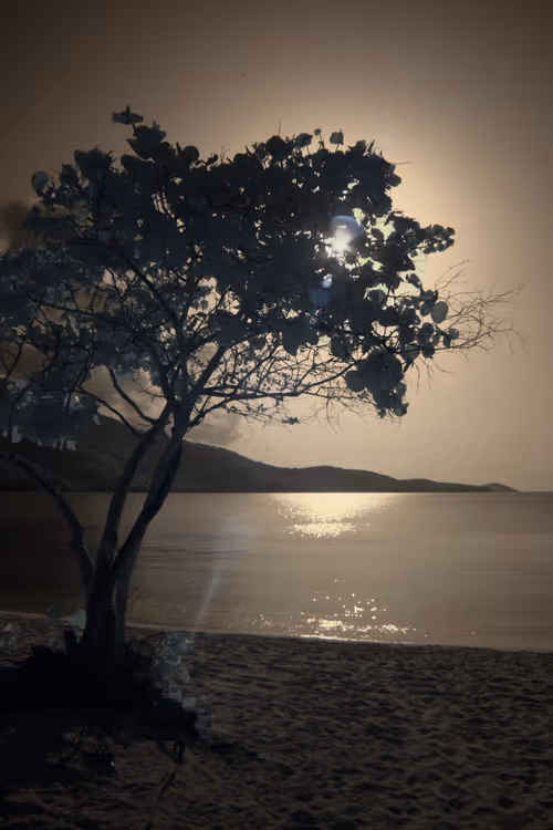 Item #84630877256389803822544637333020280854396826404545033634090050548746342629377 Media