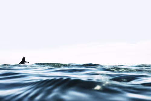 Item #113106517295801719263541253605561877557080643982296006819616818944299918950401 Media