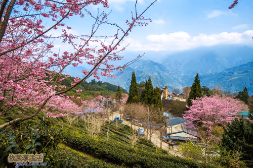 Item #100744422725674417057824683306763013505668843176654858816283483979111513194497 Media