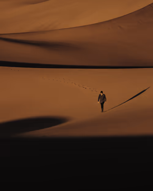 Item #4015407752300364533452678747912321307133041258187258919128982385472546275329 Media