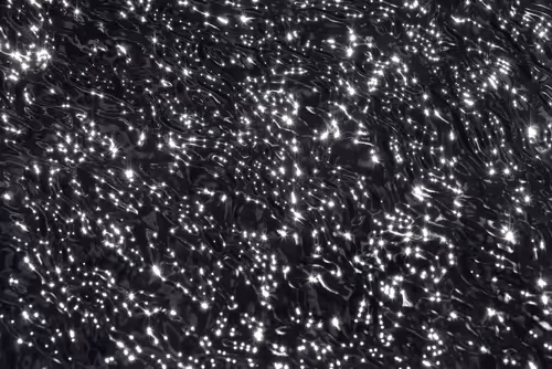 Item #81441334517361708208394031135700195474624799851237506988747108139320551145473 Media