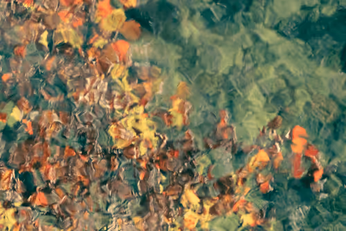 Item #81441334517361708208394031135700195474624799851237506988747108149216155795457 Media