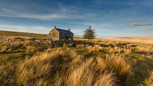 Item #76411818325877809330534104356755828183937072651950095241963461241993854713857 Media