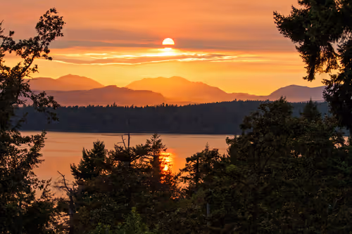 Item #35061641611689379192582426000643875559766385967615314722725717902059106205697 Media