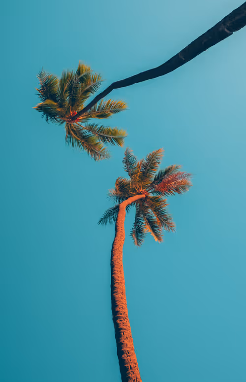 Item #35557780727049604459658880725917592814256363748111026780455796822275289776129 Media