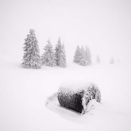 Item #101547054933813335062644925459541226737619958059144835271274916366322900140033 Media